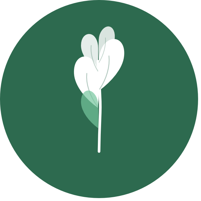 Берег